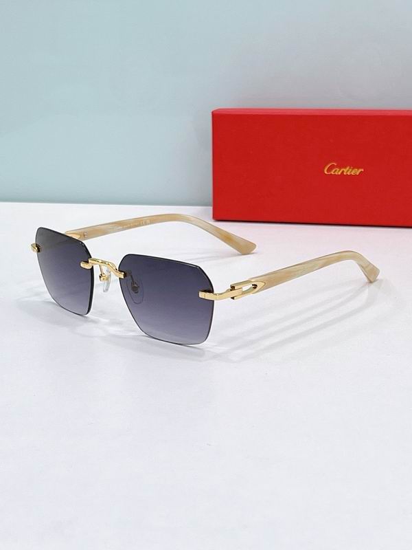 Cartier Glasses smr (187)