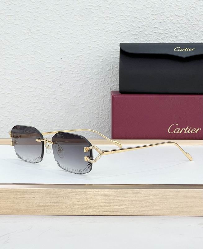 Cartier Glasses smr (1873)