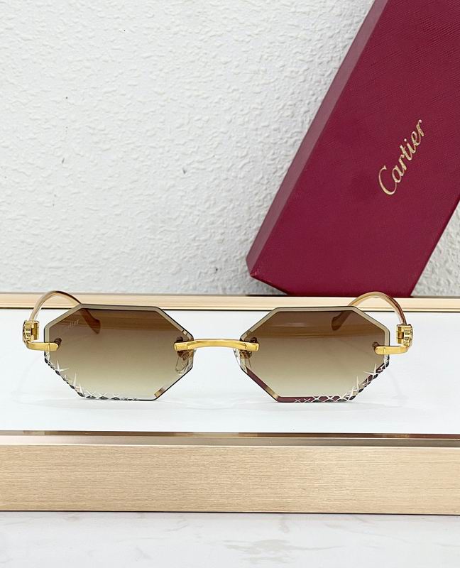 Cartier Glasses smr (19)