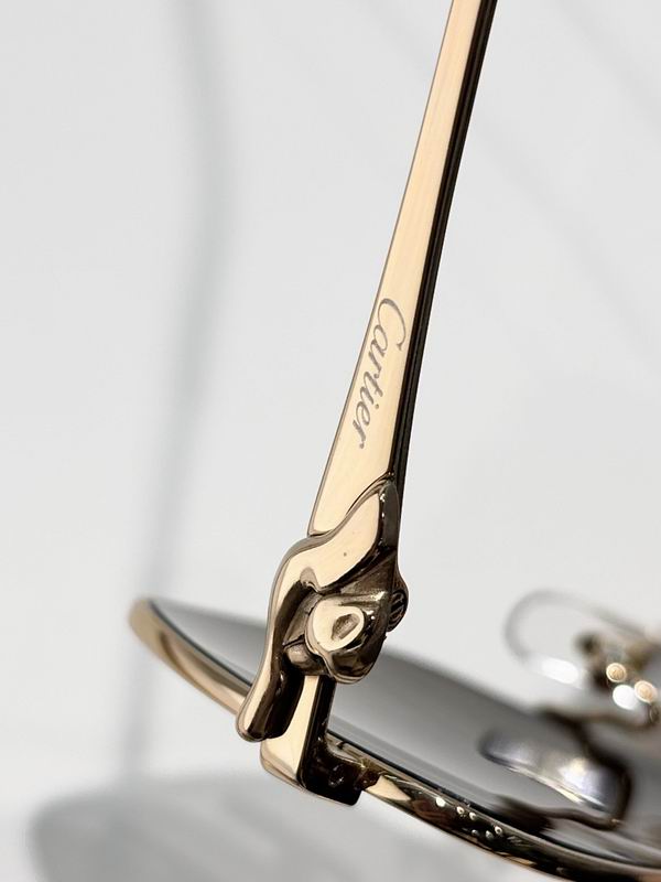 Cartier Glasses smr (2003)