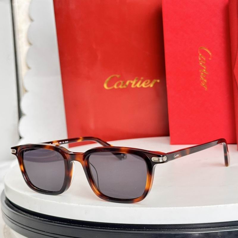 Cartier Glasses smr (2045)