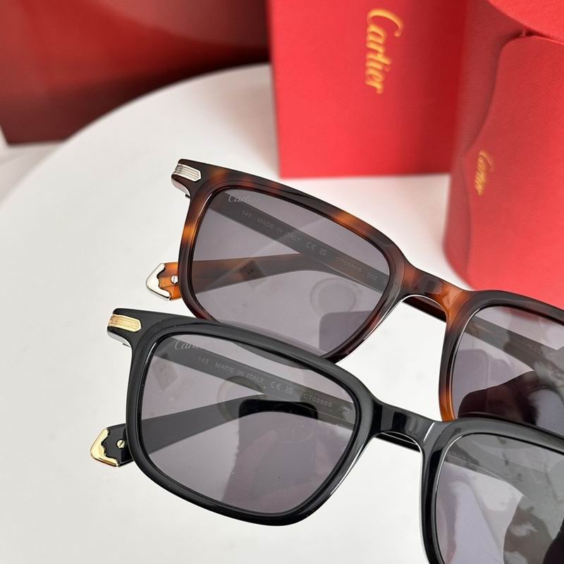 Cartier Glasses smr (2050)