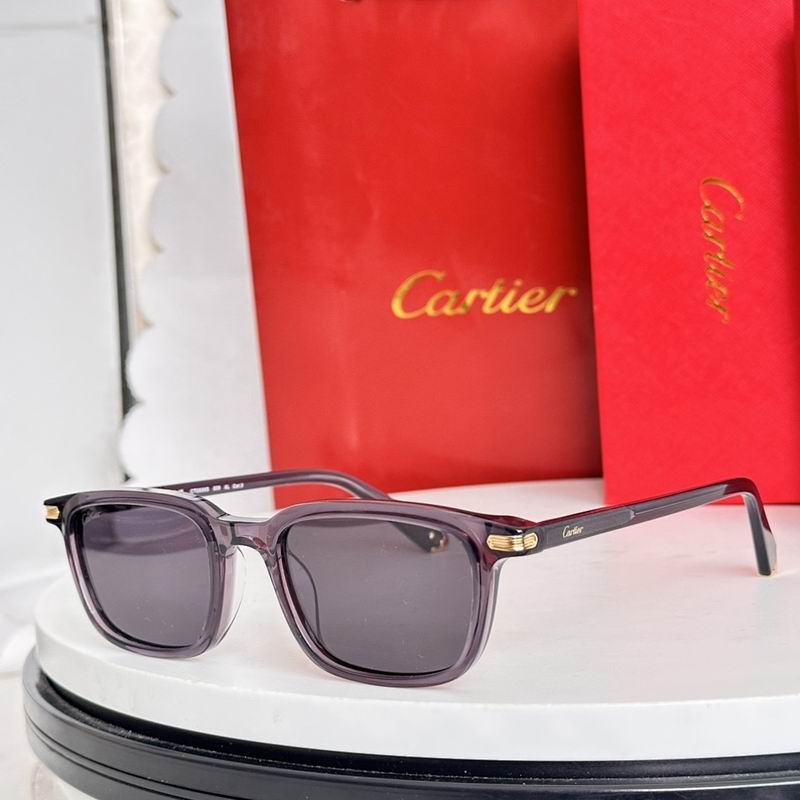 Cartier Glasses smr (2056)