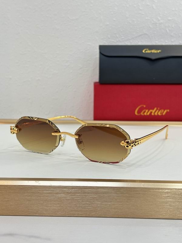 Cartier Glasses smr (2170)