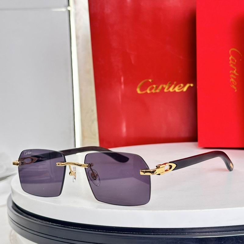 Cartier Glasses smr (2200)