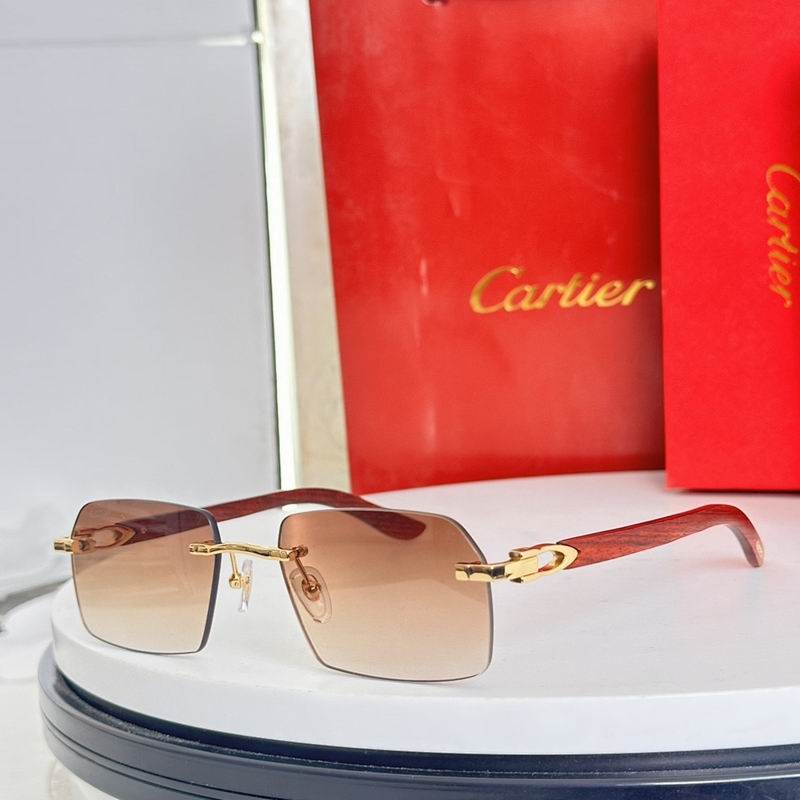 Cartier Glasses smr (2202)