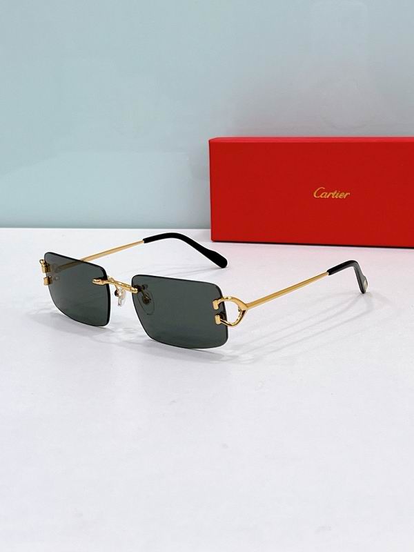 Cartier Glasses smr (2215)