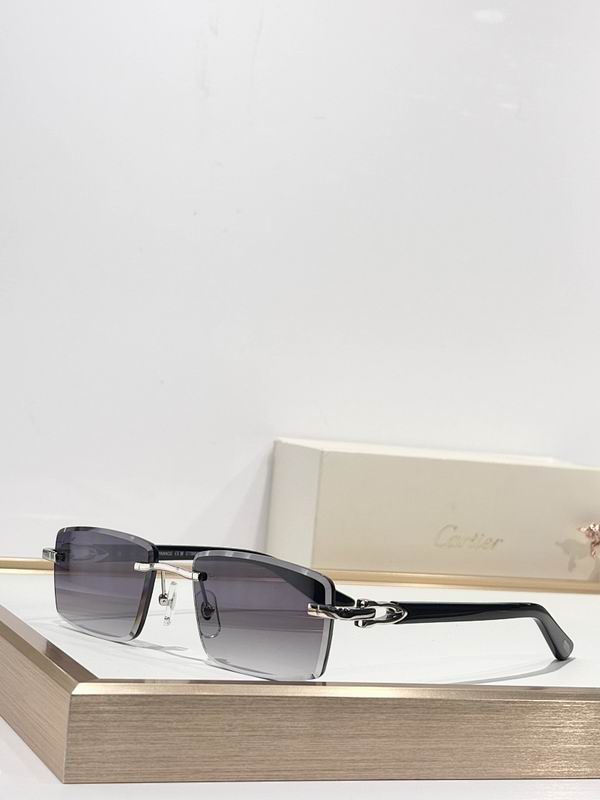 Cartier Glasses smr (2235)