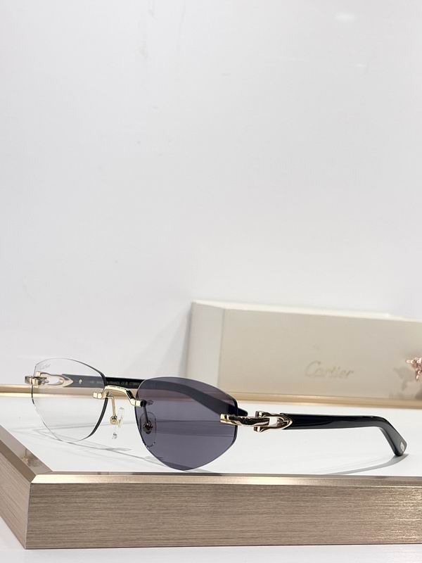 Cartier Glasses smr (2253)