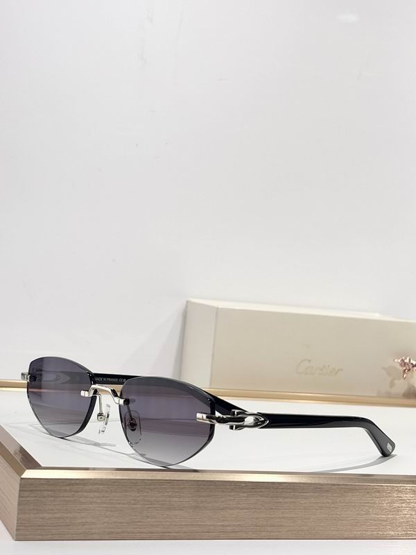 Cartier Glasses smr (2255)