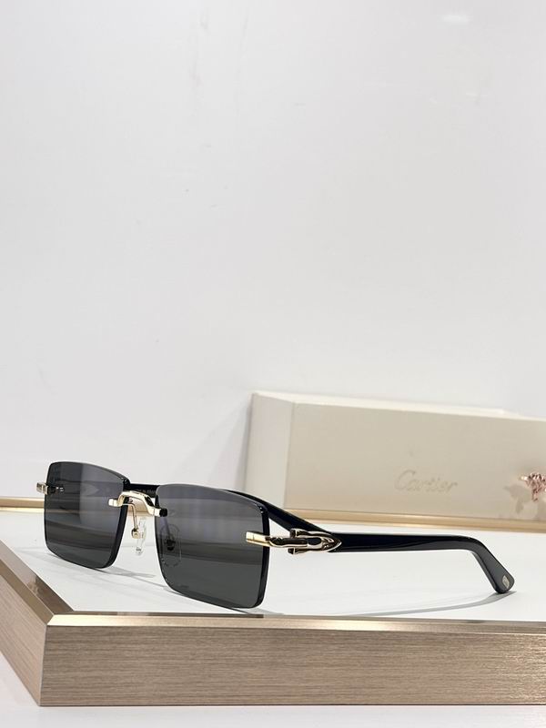Cartier Glasses smr (2264)