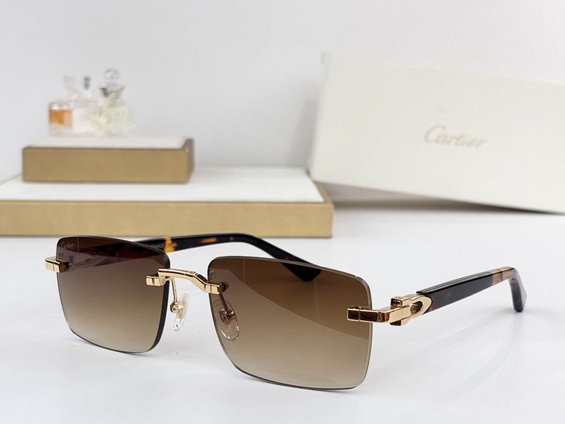 Cartier Glasses smr (2294)