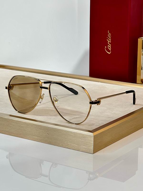 Cartier Glasses smr (2432)