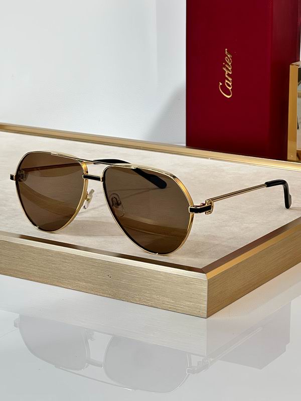 Cartier Glasses smr (2437)