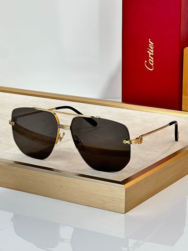 Cartier Glasses smr (2447)