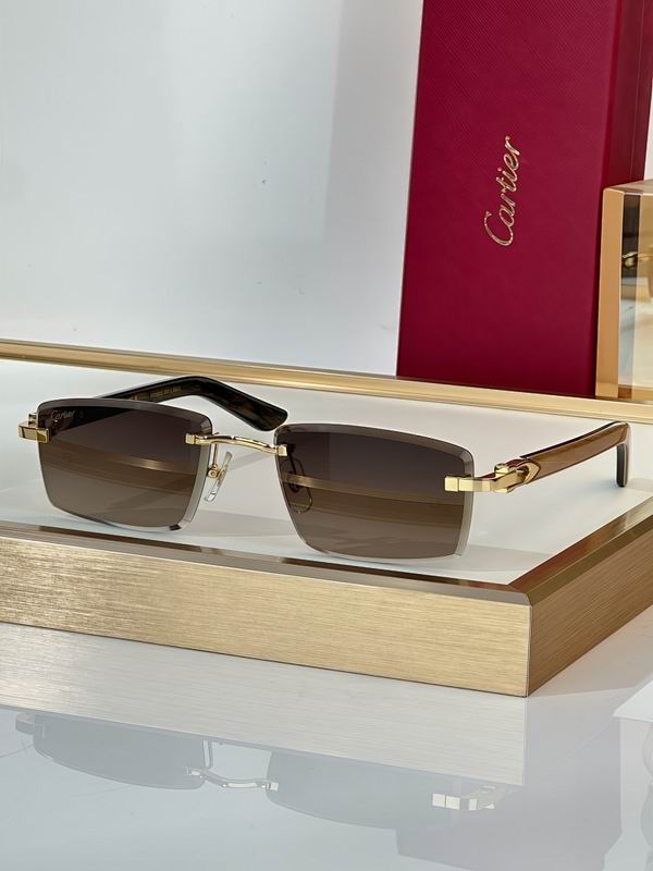 Cartier Glasses smr (2456)