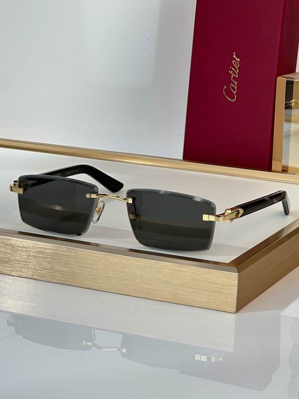 Cartier Glasses smr (2457)