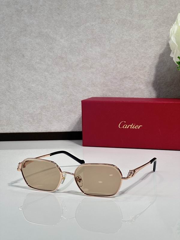 Cartier Glasses smr (2464)