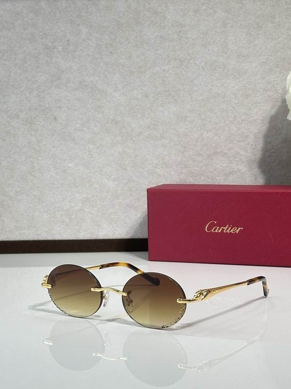 Cartier Glasses smr (2476)