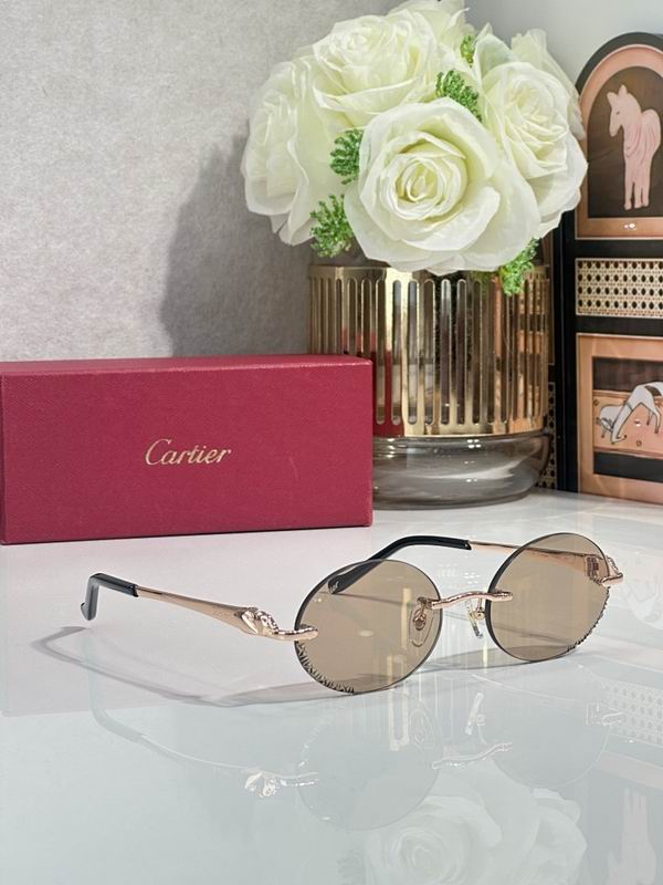 Cartier Glasses smr (2480)