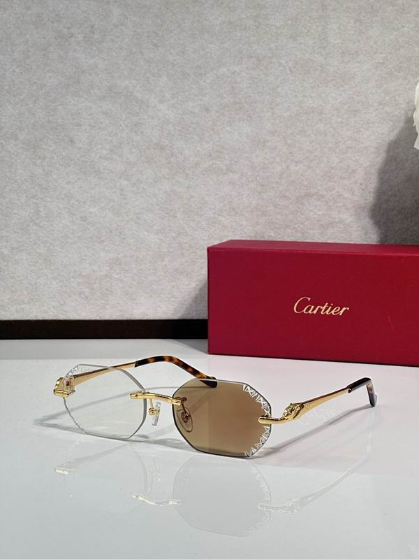 Cartier Glasses smr (2482)