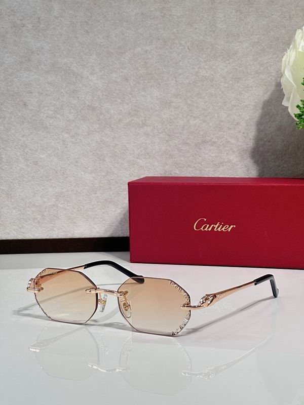 Cartier Glasses smr (2485)