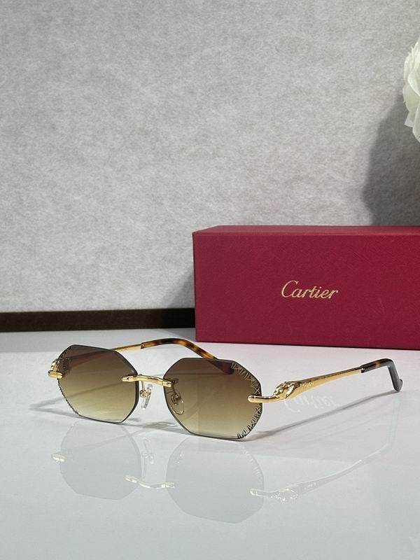 Cartier Glasses smr (2488)