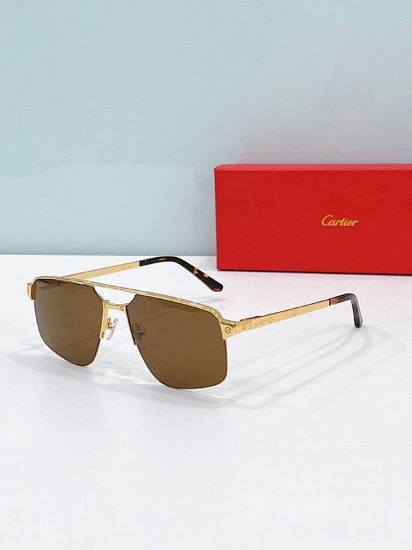 Cartier Glasses smr (2496)