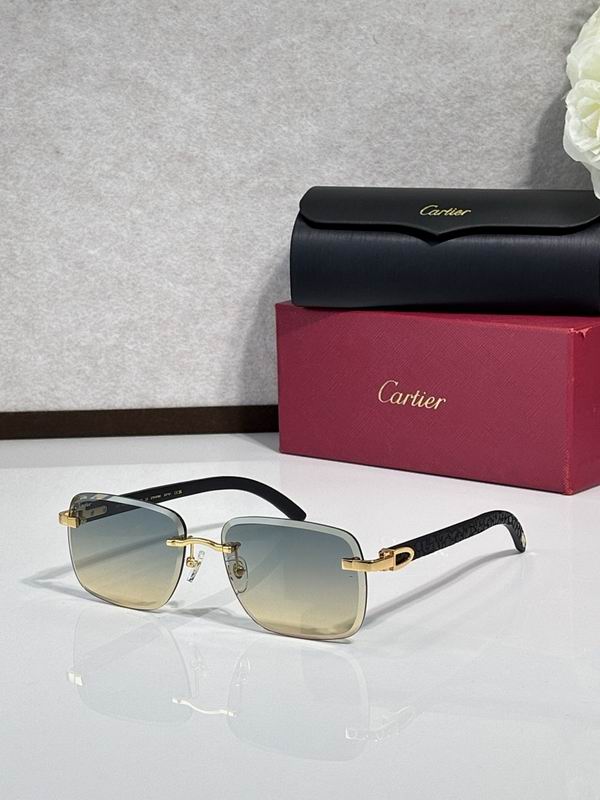 Cartier Glasses smr (2503)