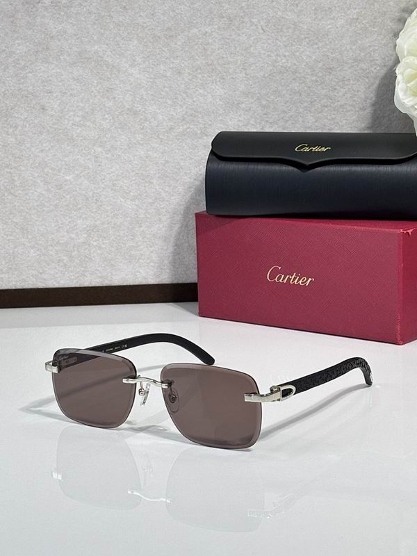 Cartier Glasses smr (2504)