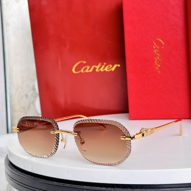 Cartier Glasses smr (2521)