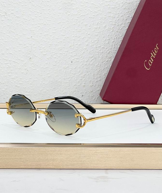 Cartier Glasses smr (26)