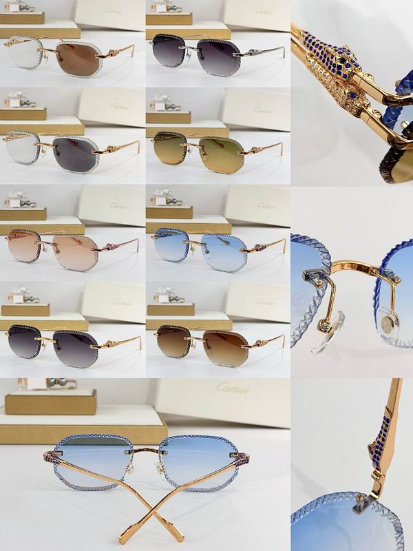 Cartier Glasses smr (2600)