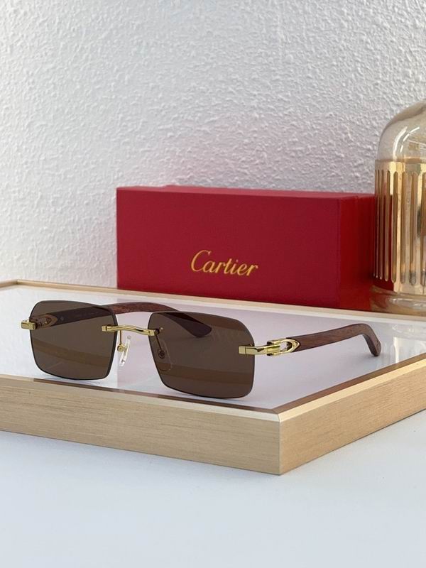 Cartier Glasses smr (2801)