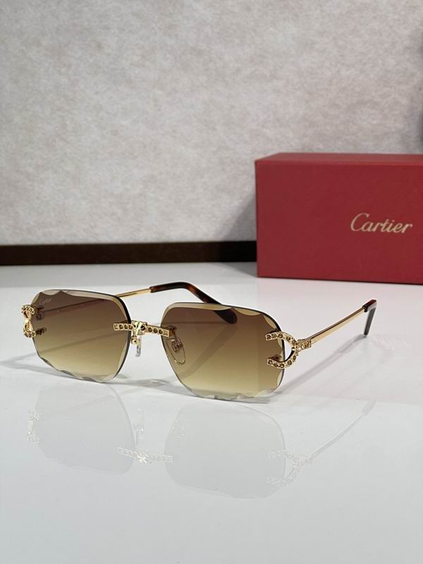 Cartier Glasses smr (2811)