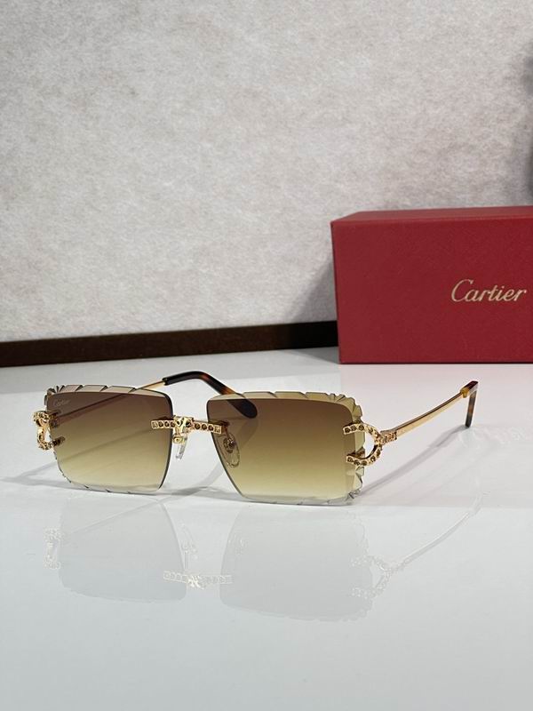 Cartier Glasses smr (2824)