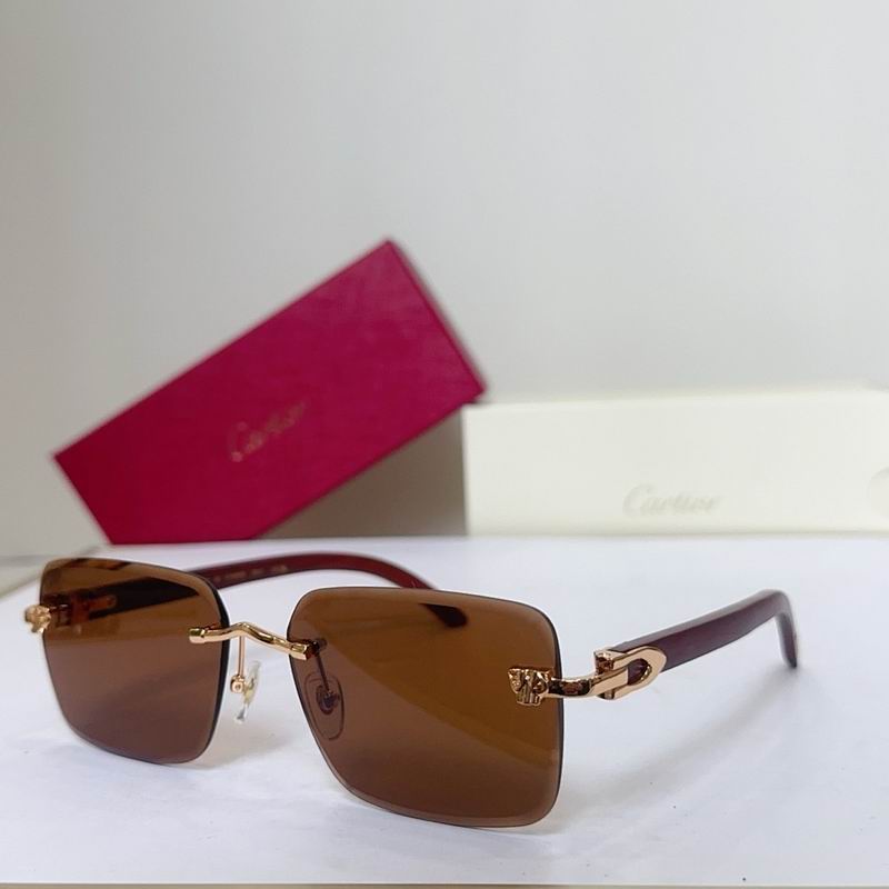 Cartier Glasses smr (2855)