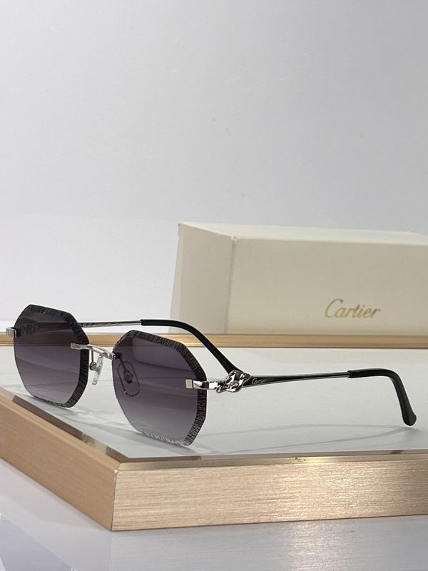 Cartier Glasses smr (2894)