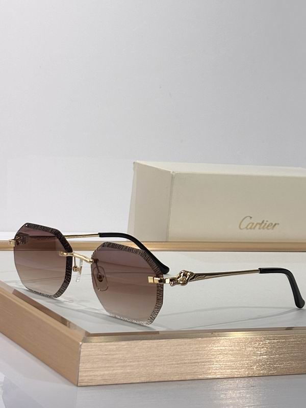Cartier Glasses smr (2895)