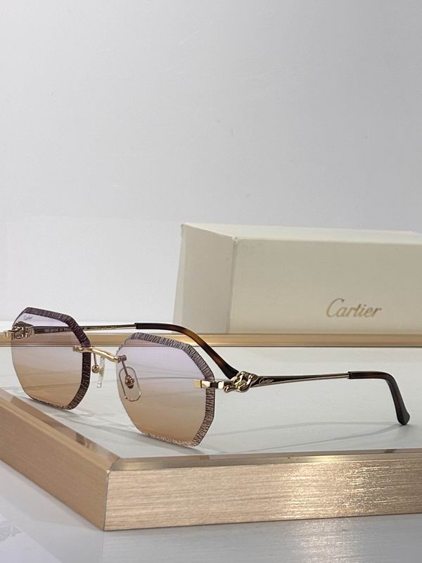 Cartier Glasses smr (2896)