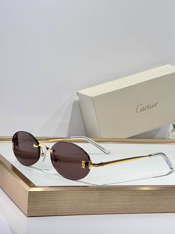 Cartier Glasses smr (2910)