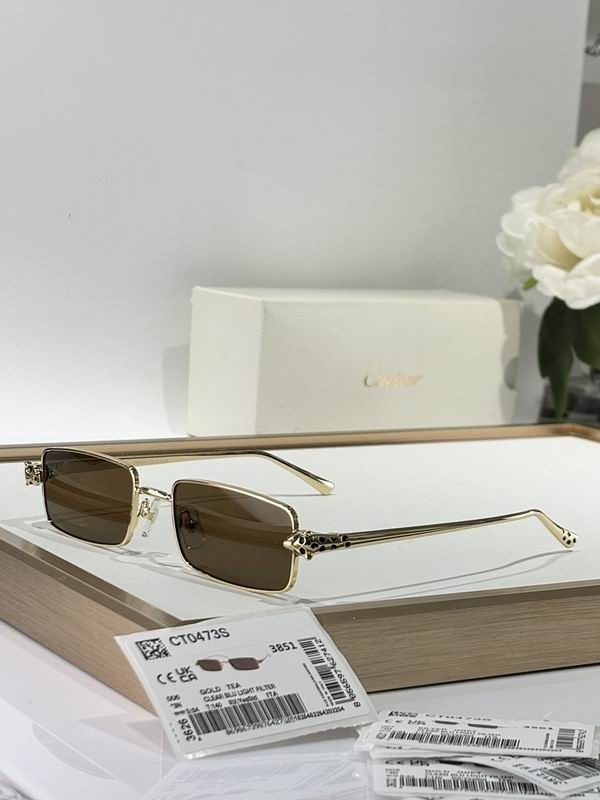 Cartier Glasses smr (2919)