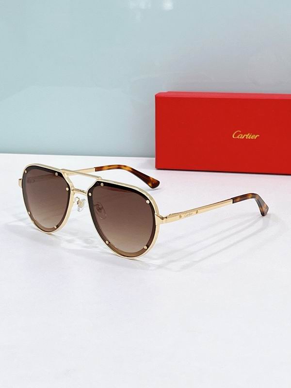 Cartier Glasses smr (292)