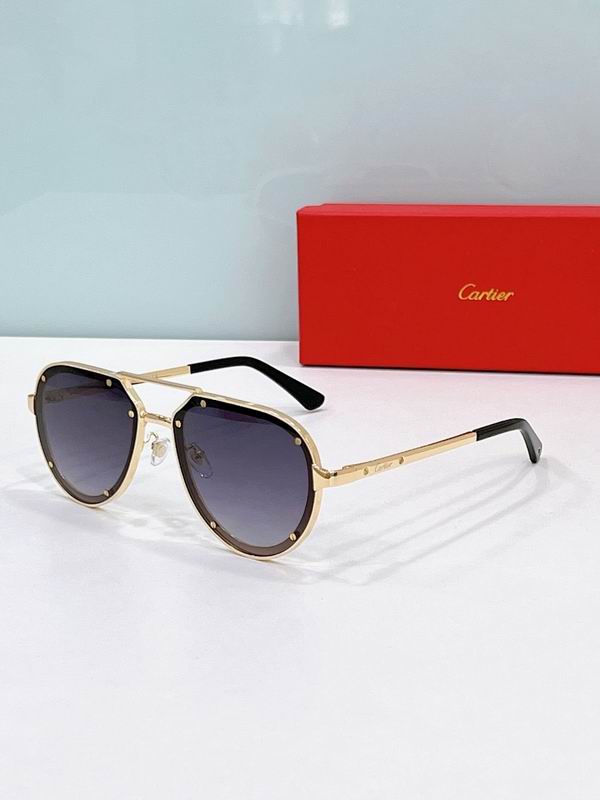 Cartier Glasses smr (293)