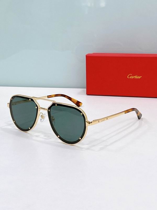 Cartier Glasses smr (294)