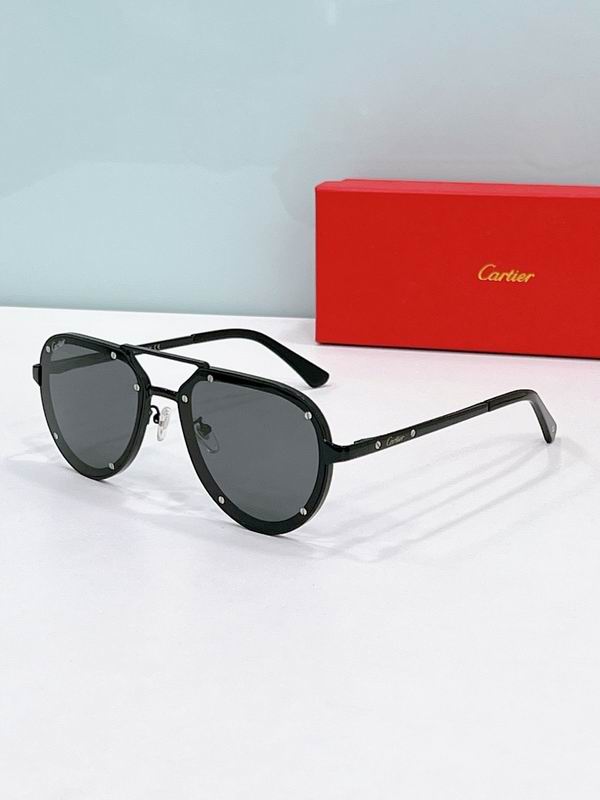 Cartier Glasses smr (296)