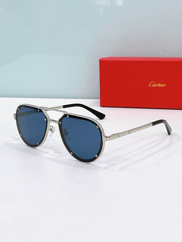 Cartier Glasses smr (297)