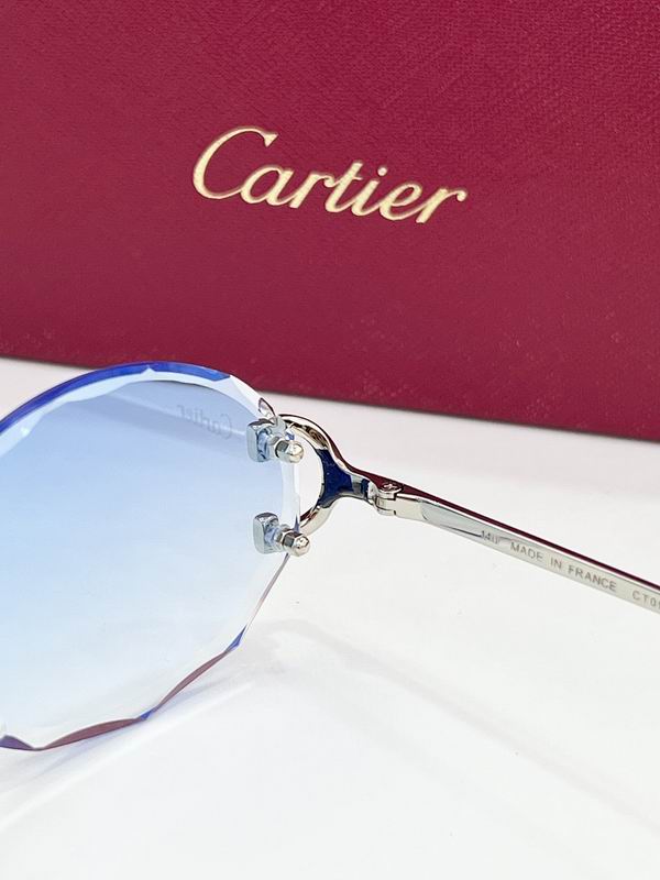 Cartier Glasses smr (30)