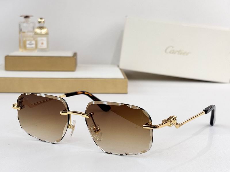 Cartier Glasses smr (3001)