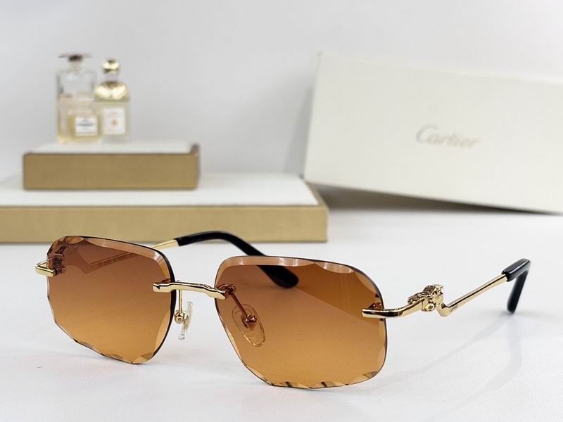 Cartier Glasses smr (3002)